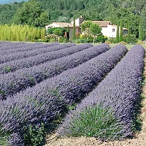  Bed & Breakfast D'hotes Du Mas De Longuefeuille